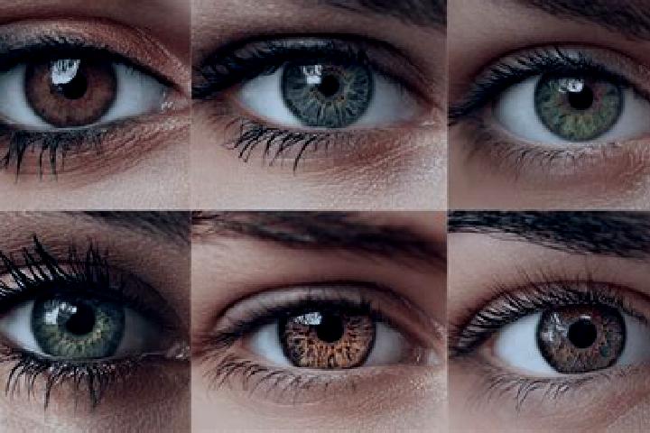 3 Fortune Coins Hold and Spin slot machine