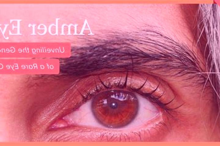 Alexander the Great slot game