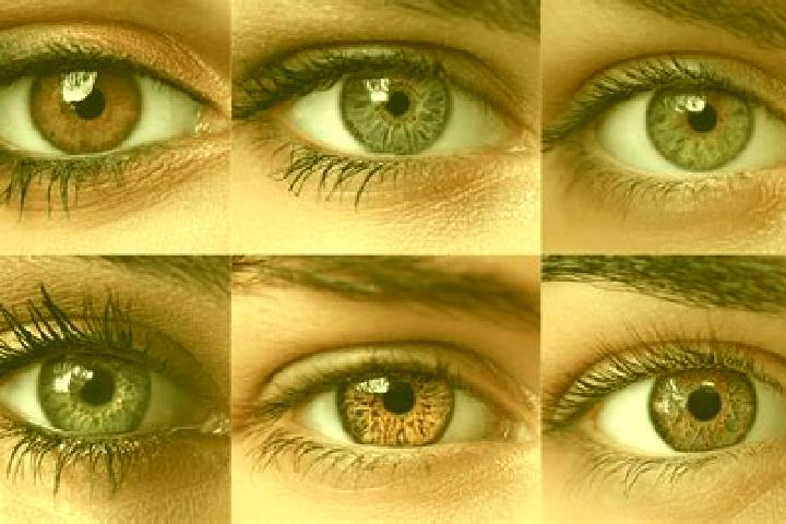 Battle Royale (Skillzzgaming) slot
