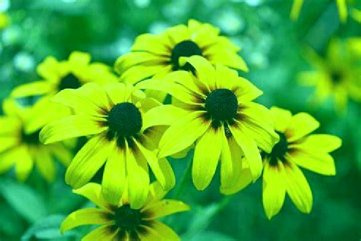 Beach (MGA) slot