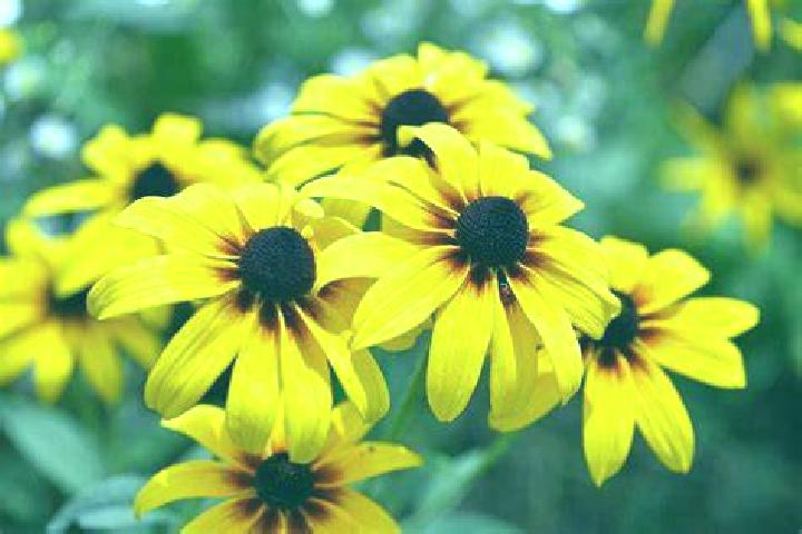 Book Of Skulls Reloaded online slot