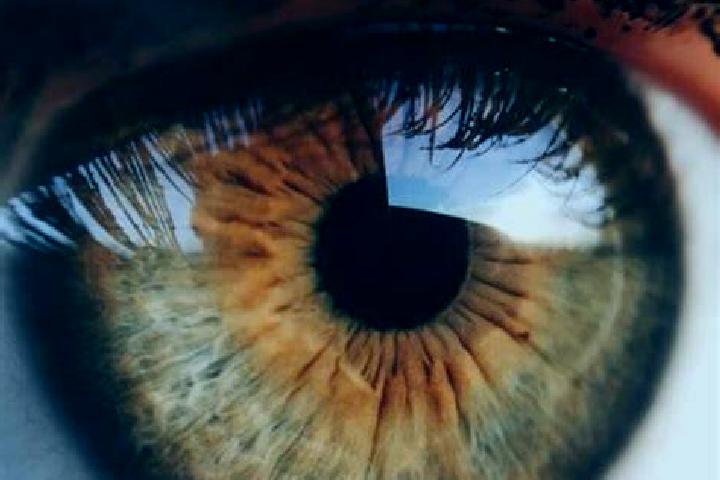 Fortune Salesman slot