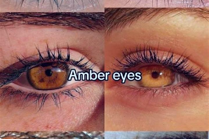 Gold Blitz Express slot machine