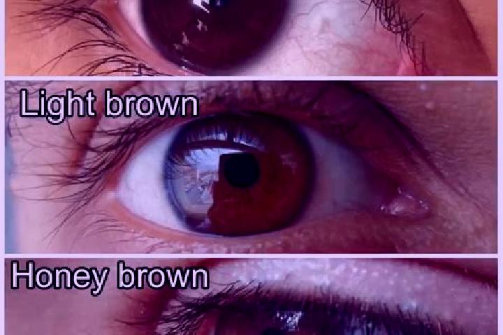 Golden Spirit slot machine