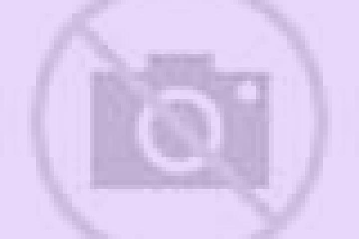 Jungle Safari slot