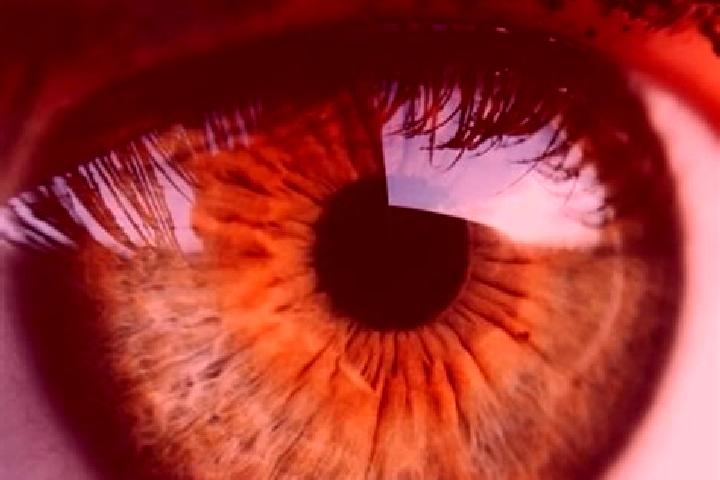 Ling Ling x Regency (Hotdog Gaming) slot game