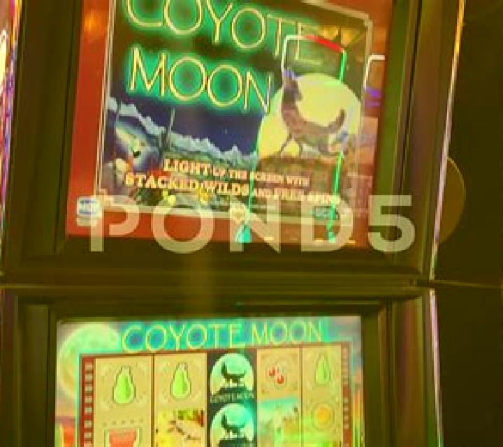 Lucky Pond online slot