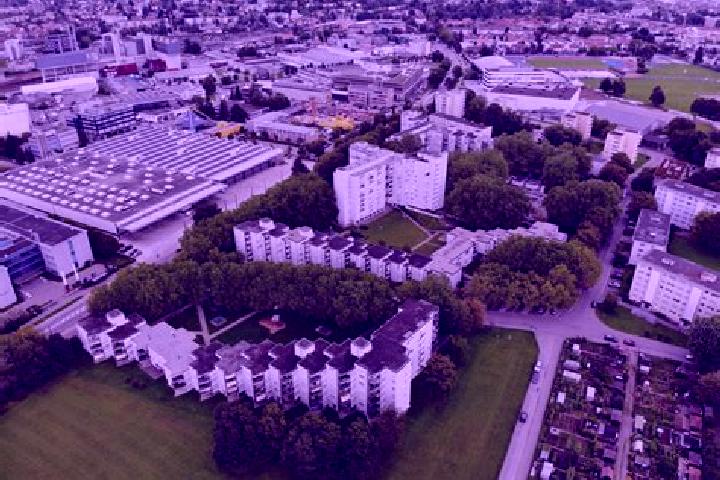 Monkey Office Legend slot game