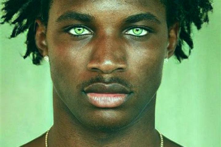 Mustang Freedom slot game