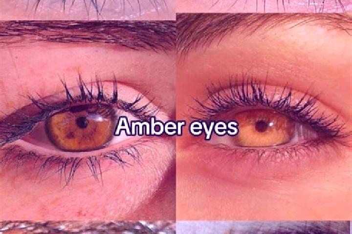 Nights of Egypt Expanded Edition slot machine