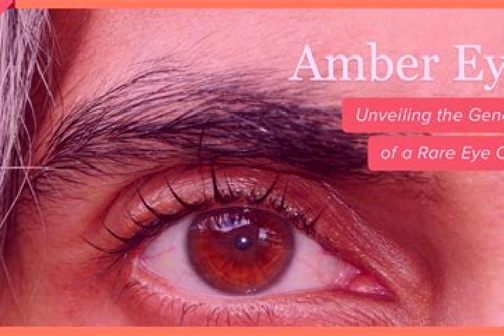 Pandastic Adventure slot machine