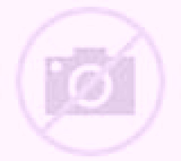 Pirateplay Bonanza slot game