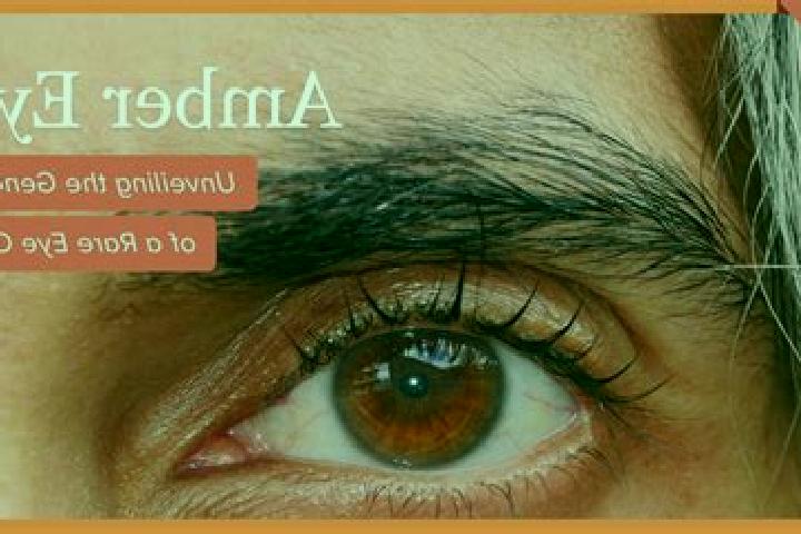 Ramses Book Christmas Edition slot machine