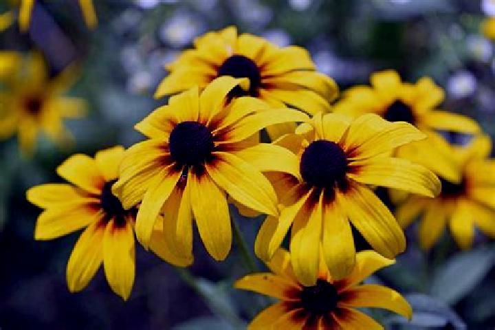 Retro Horror slot