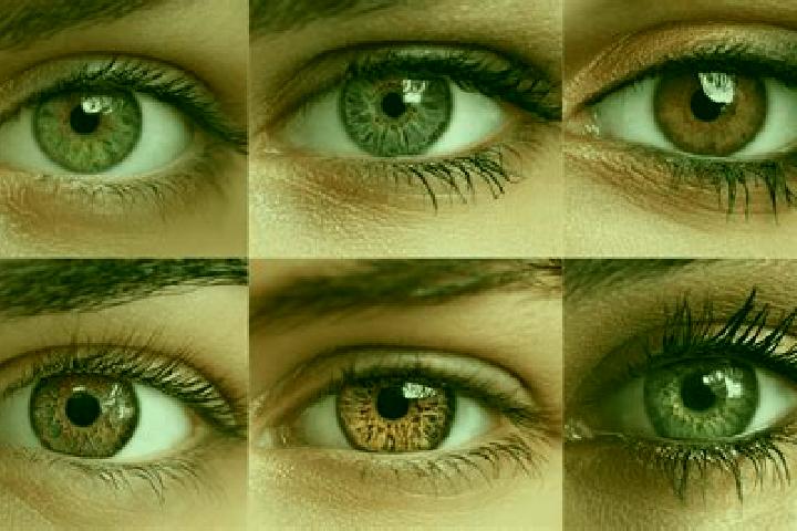Spinning for Gold online slot