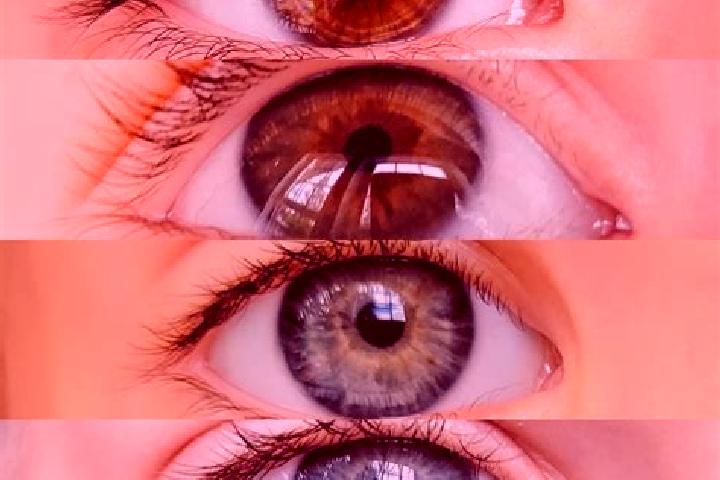 Sugar Bear slot machine