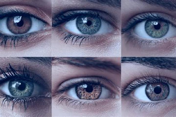 Virtual African Cup slot machine